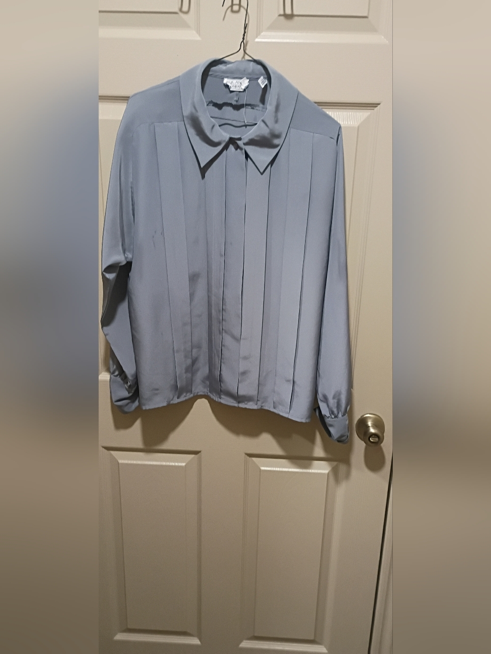Woman's Pleated Button Front Collared Silky Lightweight Size 14 Long Sleeve